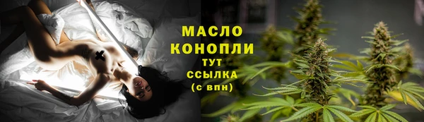 крисы Армянск