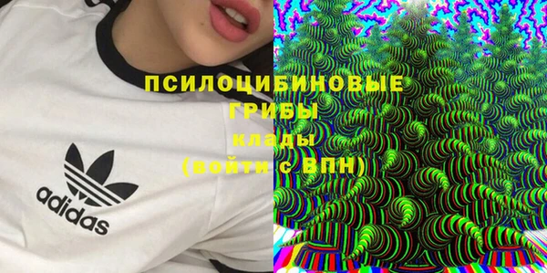 2c-b Арсеньев