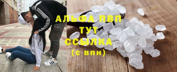крисы Армянск