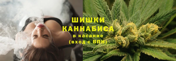 крисы Армянск