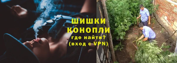 крисы Армянск
