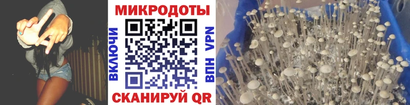 Псилоцибиновые грибы мухоморы  Купить  Пенза 