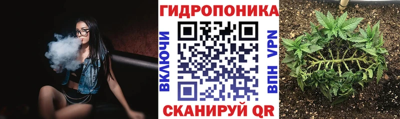 Купить закладки Пенза Конопля Ganja